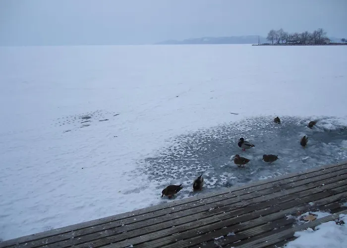 Kek Laguna Vendeghaz Pensionat